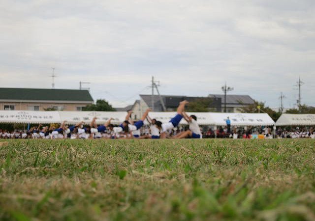 近江八幡住宅工房ライブス運動会